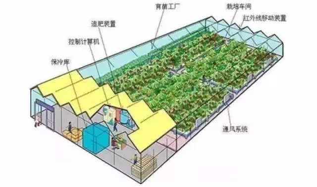 智能温室 计算机系统服务引领现代农业发展新方向
